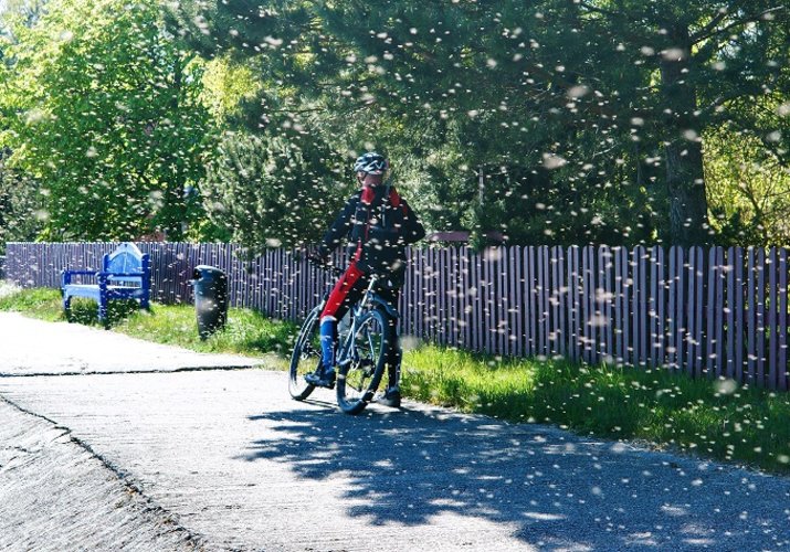 5 způsobů, jak se na kole chránit proti hmyzu