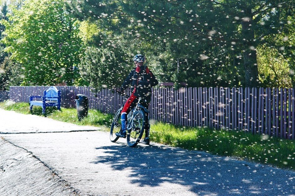 5 způsobů, jak se na kole chránit proti hmyzu>