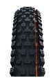 SCHWALBE plášť - ALBERT GRAVITY PRO 29x2.50 EVOLUTION 67EPI - černá