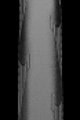 CONTINENTAL plášť - GRAND SPORT 700x25C - černá