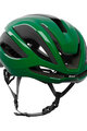 KASK Cyklistická přilba - ELEMENTO WG11 - zelená