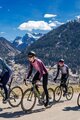 ALÉ Cyklistický dres s dlouhým rukávem zimní - CIRCUS PR-S - fialová