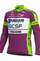ALÉ Cyklistický dres s dlouhým rukávem zimní - BARDIANI CSF 20 WNT - zelená/fialová