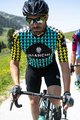 BIANCHI MILANO Cyklistický dres s krátkým rukávem - MASSARI - žlutá/světle modrá