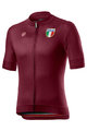 CASTELLI Cyklistický dres s krátkým rukávem - ITALIA 20 - bordó