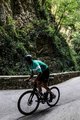 CASTELLI Cyklistický krátký dres a krátké kalhoty - LA MITICA - zelená/černá