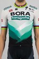 SPORTFUL Cyklistický dres s krátkým rukávem - BORA HANSGROHE 2021 - šedá/zelená