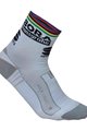 SPORTFUL Cyklistické ponožky klasické - BORA HANSGROHE 2018 - bílá/šedá