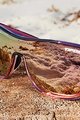 TIFOSI Cyklistické brýle - SIZZLE - fialová