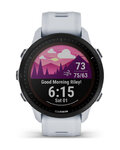 GARMIN chytré hodinky - FORERUNNER 955 SOLAR - šedá