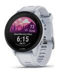GARMIN chytré hodinky - FORERUNNER 955 - šedá