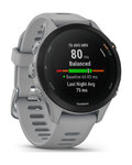 GARMIN chytré hodinky - FORERUNNER 255S - šedá
