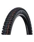 SCHWALBE plášť - ALBERT GRAVITY PRO 29x2.50 EVOLUTION 67EPI - černá
