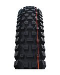SCHWALBE plášť - ALBERT GRAVITY PRO 29x2.50 EVOLUTION 67EPI - černá