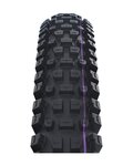SCHWALBE plášť - ALBERT GRAVITY PRO 29x2.50 EVOLUTION 67EPI - černá