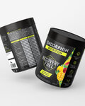 ENDORPHIN NUTRITION nápoj - RECOVERY FUEL 500g