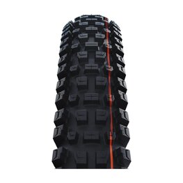 SCHWALBE plášť - ALBERT GRAVITY PRO 29x2.50 EVOLUTION 67EPI - černá