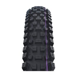 SCHWALBE plášť - ALBERT GRAVITY PRO 29x2.50 EVOLUTION 67EPI - černá