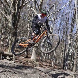 LIMAR Cyklistická přilba - DELTA MTB - zelená